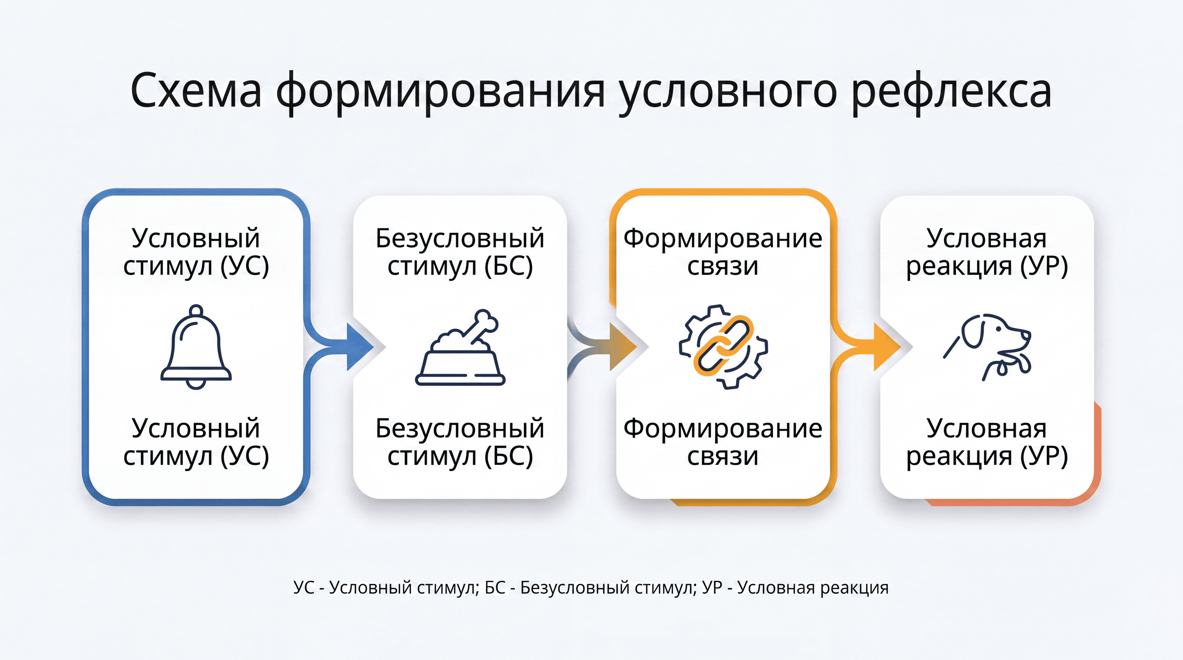 Схема: условный стимул, безусловный стимул, формирование связи и условная реакция